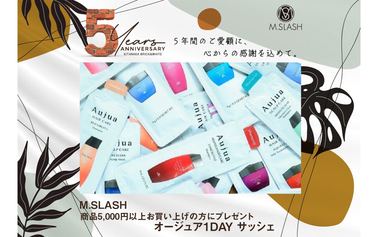 INFORMATION イメージ画像