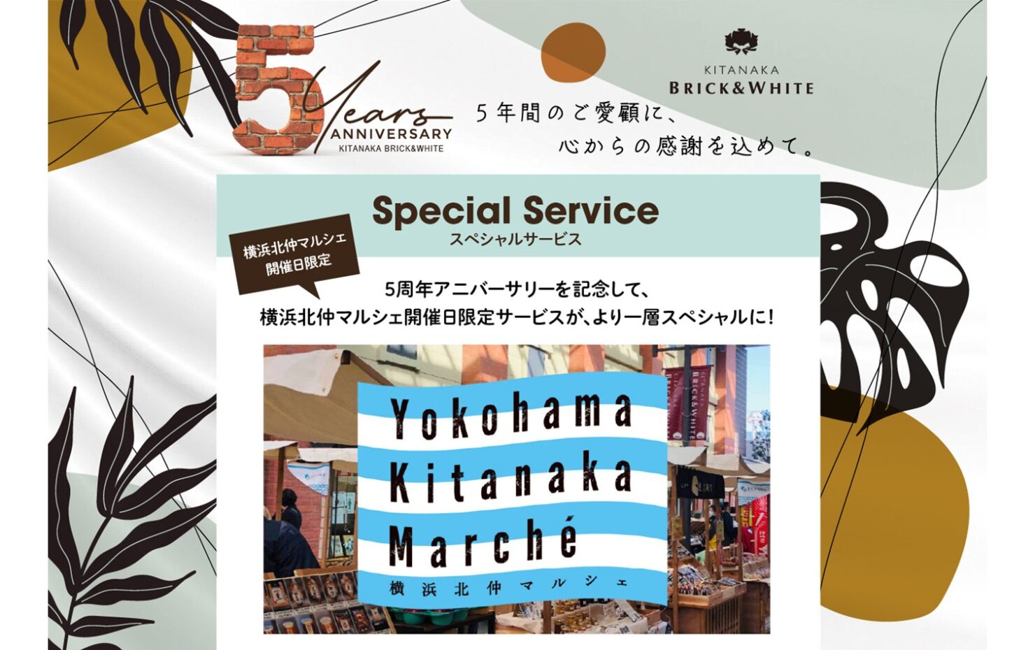 INFORMATION イメージ画像