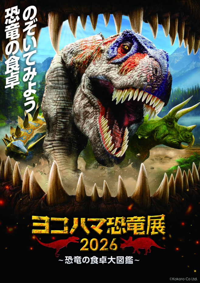 INFORMATION イメージ画像