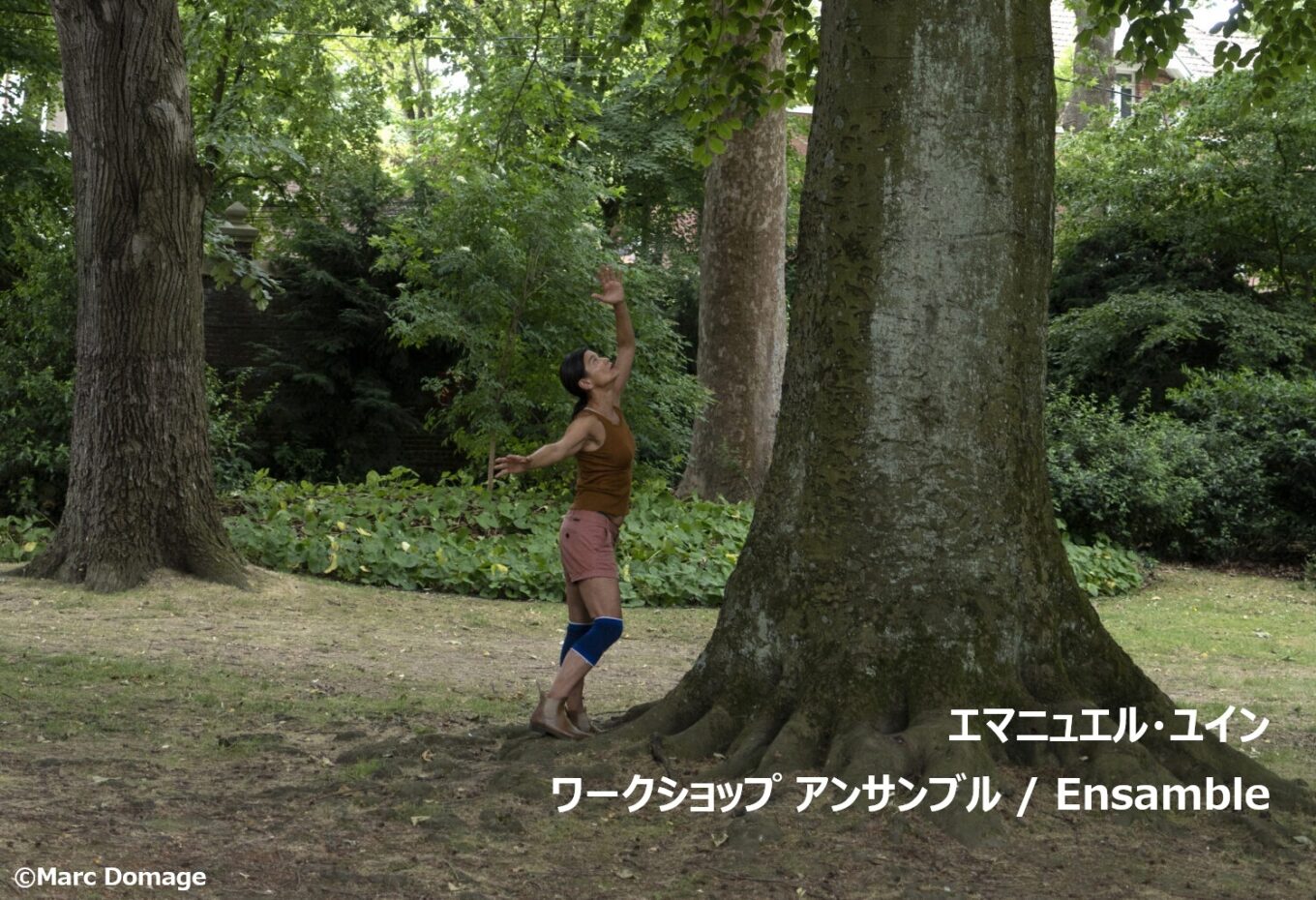 INFORMATION イメージ画像